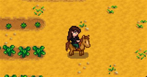 how to get a horse in stardew valley|Horse: Uses, Care, How to Unlock It, and More.